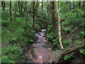 Hurst Clough Brook