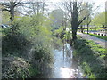 The River Lea (or Lee) near Frampton Street, SG14 (2)