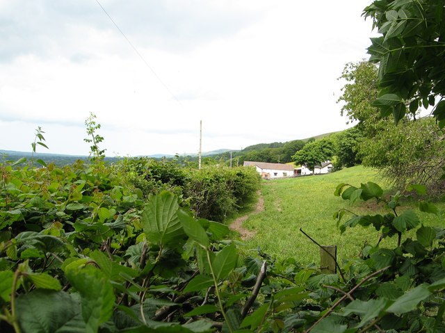 Parc-gwyn in the Clwyd Hills