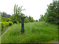 National Cycle Network milepost near Washington Westland Centre