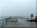 TR1568 : Hampton Pier by Chris Whippet