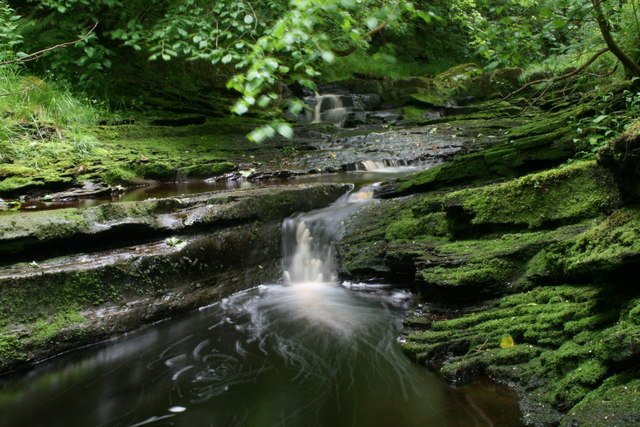 Pedder Gill © Peter Bond cc-by-sa/2.0 :: Geograph Britain and Ireland