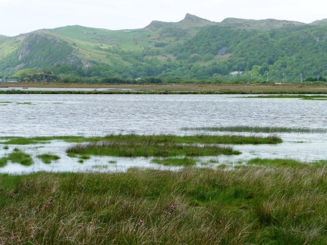 Corsydd Afon Glaslyn marshes