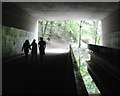 Kempnough Brook passes under the M60 Motorway