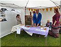 SJ9593 : Bea's Bees at Gee Cross Fete 2015 by Gerald England