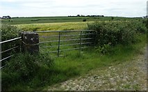 W6046 : Farm fields near Spideil by Hywel Williams