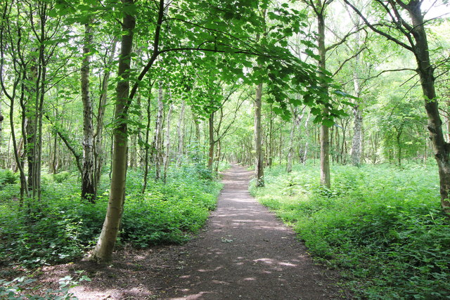 Little Budworth Country Park © Jeff Buck cc-by-sa/2.0 :: Geograph ...