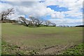 NX9356 : Arable land, Home Farm, Southwick by Richard Webb