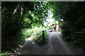 White Hall Lane near Little Budworth