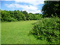 Footpath near Hall Farm