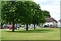 Trees on the green at Featherstone, Blindley Heath