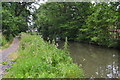 Basingstoke Canal near Church Crookham