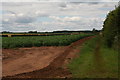 Footpath to Redbourne Grange Farm