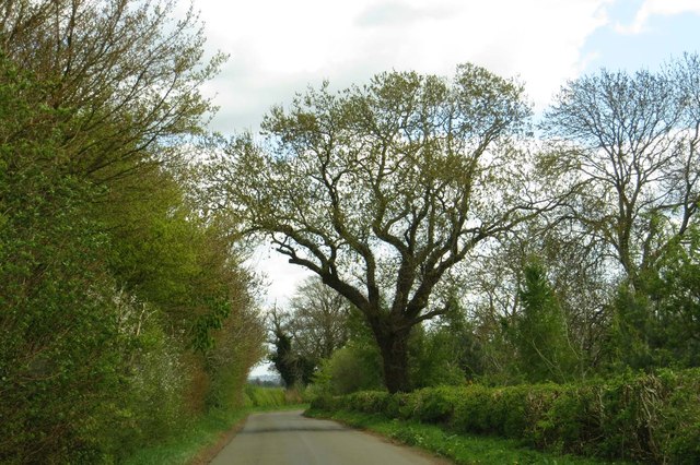 The road to Horley