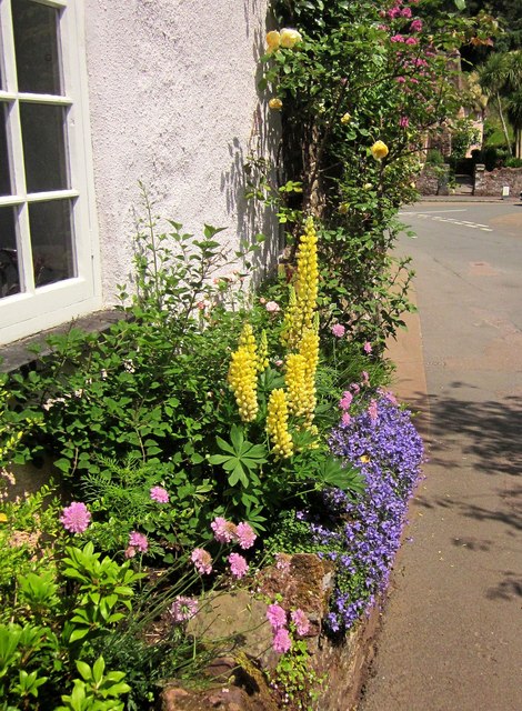 Cottage garden flowers, Cockington