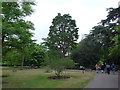 A summer stroll around Kew (46)