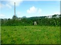 Sworne Farm Trig Point