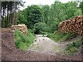 Timber stacks by the Staffordshire Way in Stoney Dale