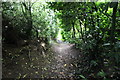 Sunken path near The White Hall