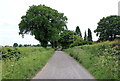 Restricted Byway near Little Budworth