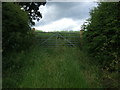 Field entrance off Ashbourne Road (A52)