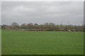 Grazing land near Stoke Cannon