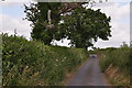 SX9198 : East Devon : Red Rock Road by Lewis Clarke