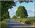 Country road north of Eynsham