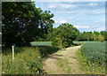 Farmland north of Eynsham