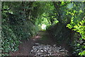 Mid Devon : Bidwell Lane