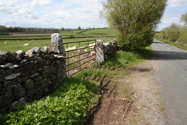 Road past sheep pasture towards King's Meaburn
