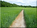 Footpath from Wye to Wye Downs