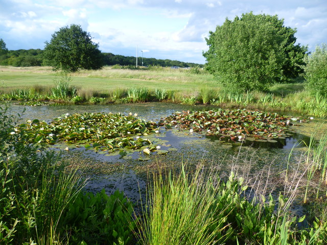 Pond on the Royal Epping Forest Golf... © Marathon cc-by-sa/ :: Geograph  Britain and Ireland