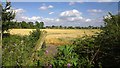 Looking Across to Lower Sunbury Houses