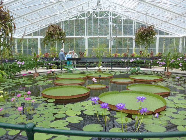 Inside the Water Lily House