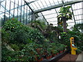 Inside the Princess Diana Glasshouse