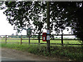 Postbox and village notice board at Little Bealings