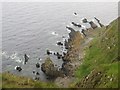 NT8869 : Coastal rocks at Pikie's Cove by Graham Robson