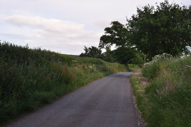 East Devon : Country Lane