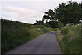SX9199 : East Devon : Country Lane by Lewis Clarke