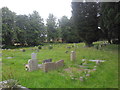A lunchtime visit to West End Cemetery (v)