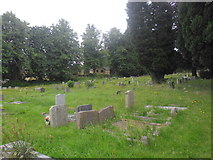 SU4714 : A lunchtime visit to West End Cemetery (v) by Basher Eyre