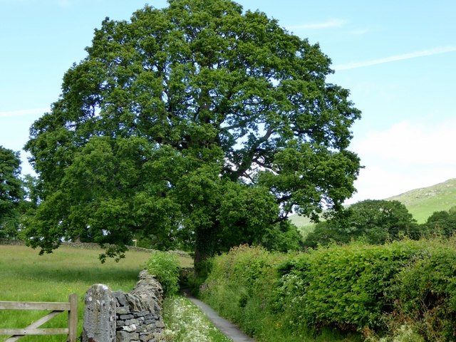 Lane near Barbon