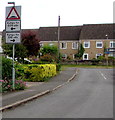 SP4416 : Humps to the left and humps to the right ahead along Hensington Road  Woodstock by Jaggery