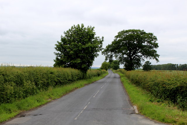 Skelton Lane