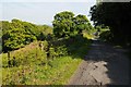 Country road approaching Tai-nant