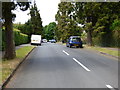 Brockham:  The Avenue