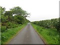 Country road leading to Lumsdaine