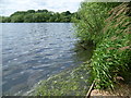 Alongside the Brent Reservoir