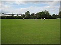 SO8454 : Cricket pitch beside New Road ground by Philip Halling